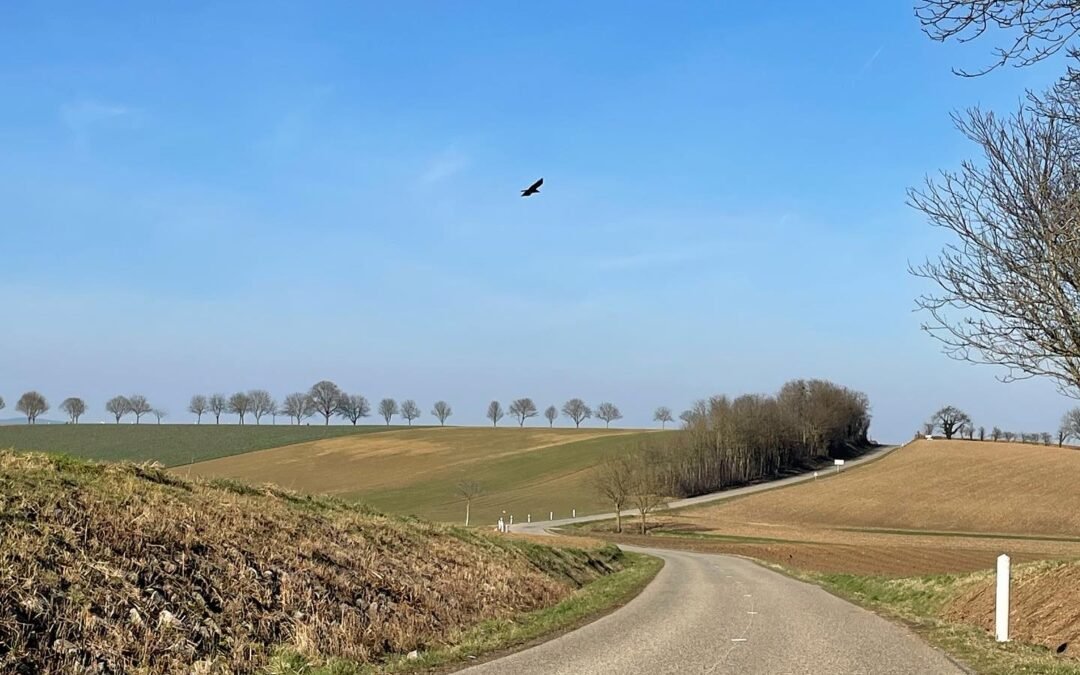 New Post: From AI Chaos to Clarity: How to Design a Simple AI Roadmap