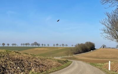 New Post: From AI Chaos to Clarity: How to Design a Simple AI Roadmap